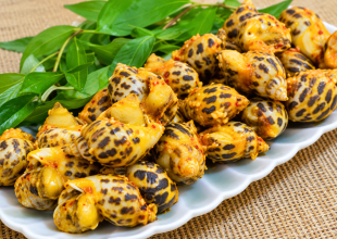 Đi ăn cùng gia đình nên gọi ốc hương theo phần dễ chia