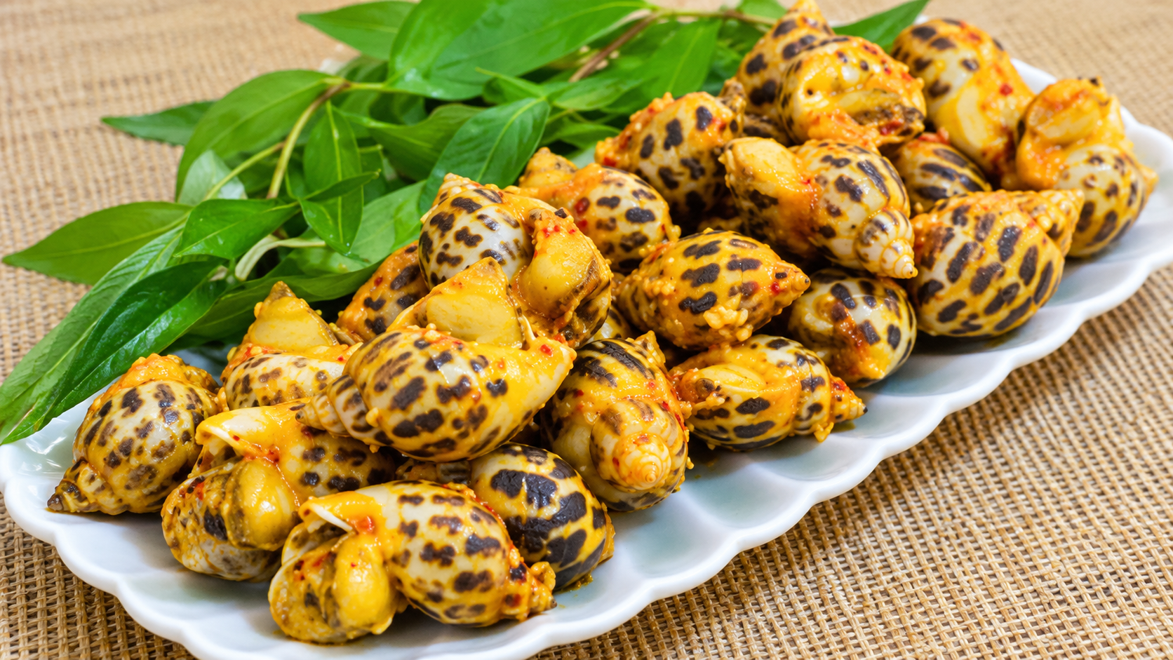 Vì sao ốc hương lại là lựa chọn hàng đầu cho bữa ăn gia đình